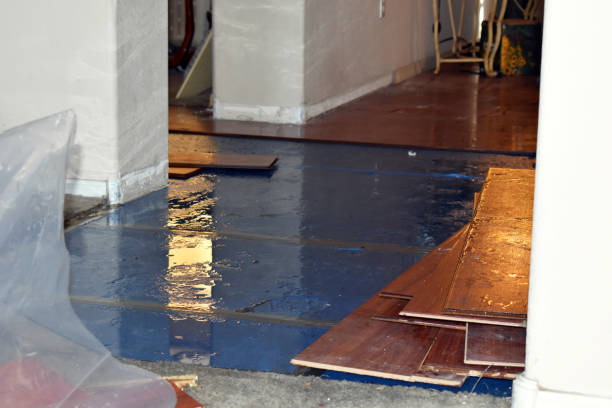 Professional Basement Flood Cleanup technician working in Farrell, PA